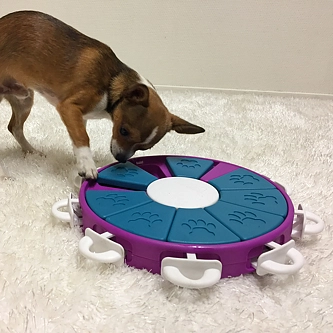 NINA OTTOSSON Giochi di intelligenza per cani Livello 3 Dog Twister