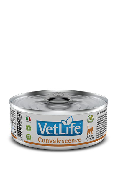 Farmina Vet life Convalescence gatto 85 GR