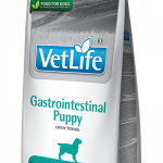 Farmina Vet Life Cane Cucciolo Gastrointestinal Puppy - 12 Kg