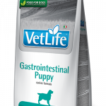 Farmina Vet Life Cane Cucciolo Gastrointestinal Puppy - 2 Kg