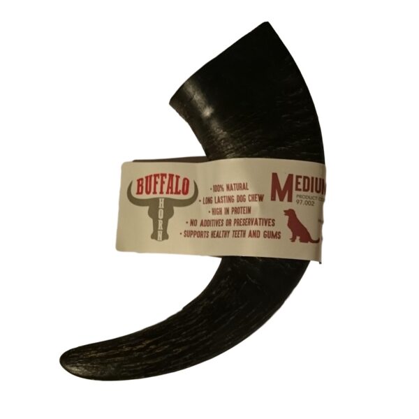 Highland Buffalo Horn - immagine 3