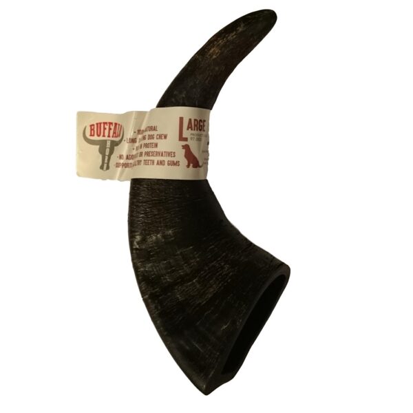 Highland Buffalo Horn