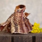 PAUL PAULINA Trachea di Manzo