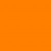 PET TRIBE Collare ad Alta Visibilità - 2,5 cm - 60 cm - Arancione Fluo