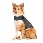 Thunder Shirt Pettorina Anti-Ansia per Cani - S