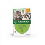 Advantage Pipette per gatti e Conigli - Sopra i 5 Kg (4 x 0,8 ml)