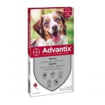 Advantix Pipette 10 - 25 Kg per cani di taglia media