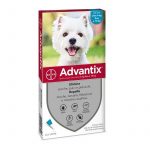 Advantix Pipette 4 - 10 Kg per cani di taglia piccola