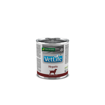 Farmina Vet Life Hepatic Umido Cane
