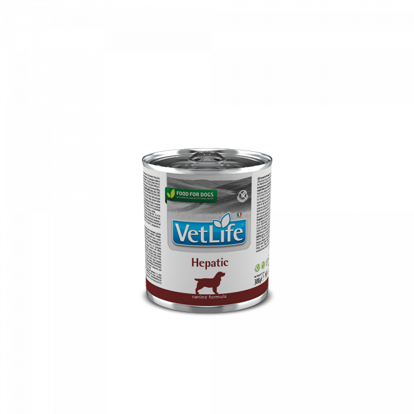 Farmina Vet Life Hepatic Umido Cane