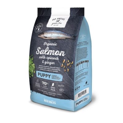 Go Native Organic Salmon Puppy