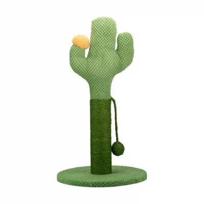Imac tiragraffi cactus con gioco e fiore