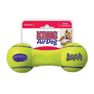 kong airsqueacker dumbell