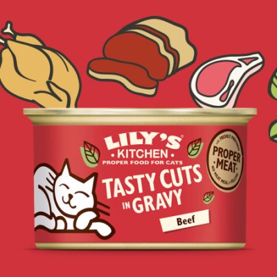 lily's kitchen tusty cuts in gravy beef