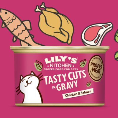 Lily's Kitchen TASTY CUTS IN GRAVY Chicken Salmon