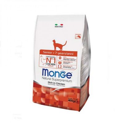 monge gatto anziano