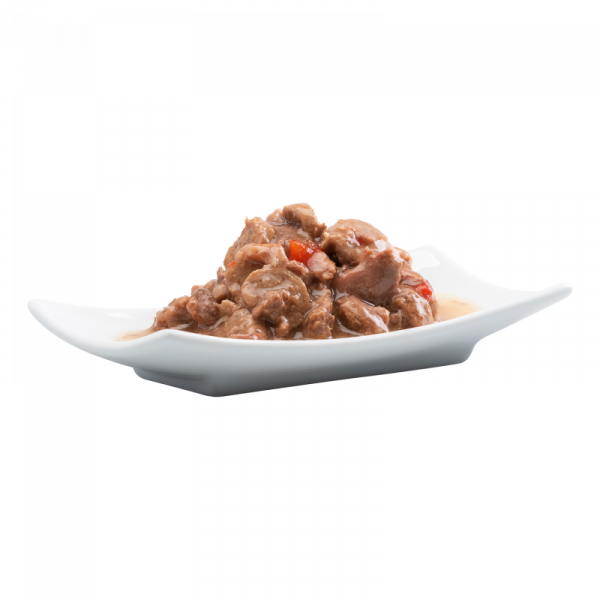 Pets Nature cats finefood ragout