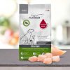 Platinum Adult al Pollo - 15-kg