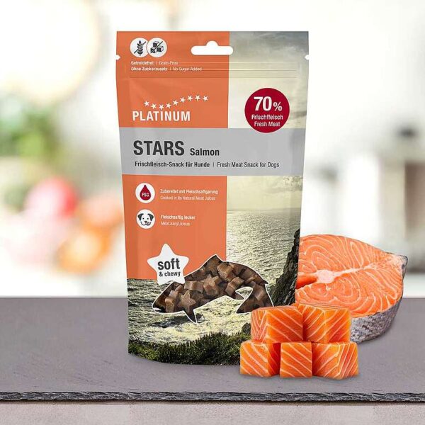 Platinum Stars Salmon Snack al Salmone