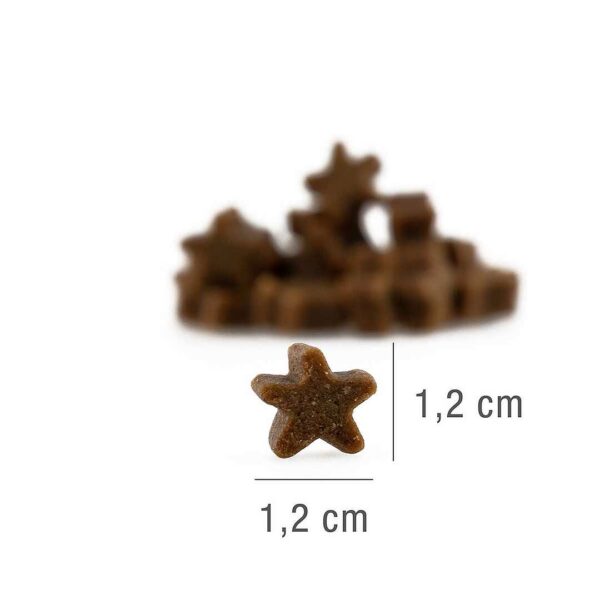 Platinum Stars Turkey Snack al Tacchino