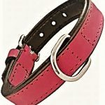 GLORIA PETS Collare in Cuoio Rosso - XS