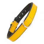 GLORIA PETS Collare in Pelle rimbottito Giallo - XS