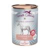 terra canis intestinal diet cavallo
