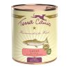 Terra Canis Classic Salmone con miglio, pesca ed erbe aromatiche - 800-g