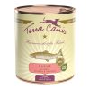 Terra Canis Classic Salmone con miglio, pesca ed erbe aromatiche - 800-g