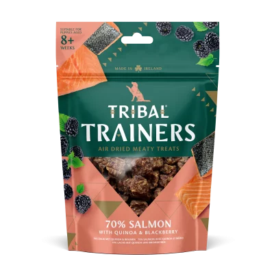 Tribal Trainers Snack Salmone con Quinoa e More